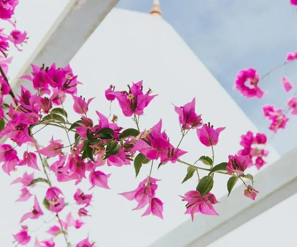 بيت ضيافة Senhora Do Cabo Meco Homy Holidays